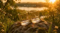 Kristallselge viskiklaas 2x350ml — pilt 1
